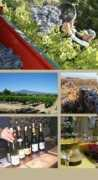provenceresorthomes.com Thewine