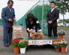 cnet-sc.ne.jp Thinka