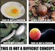 Thisisnot