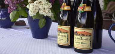 chateau-thivin.com Thivin