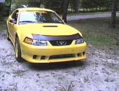 mwstangs.com Thmas