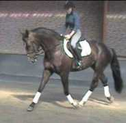basswoodfarm.com Thoran