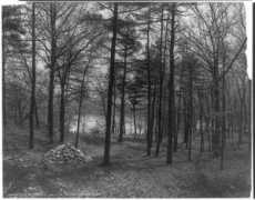 cyberspacei.com Thoreau