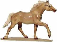 Thorobred