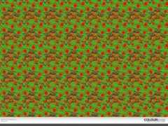 colourlovers.com Thotada