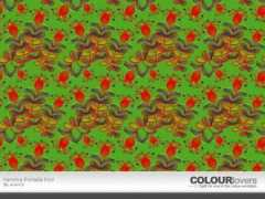 colourlovers.com Thotada