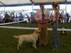 port.of.nessie.retriever.hu Thovar