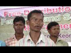 article.wn.com Thriveni