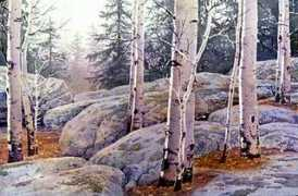 gicleeprint.net Throndson