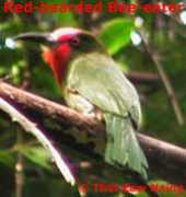 sstmyanmar.com Thty