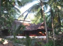 Thulsi