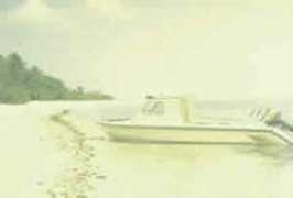 maldivesroyalfamily.com Thundi