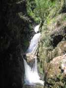 ozultimate.com Thurat