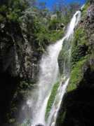 ozultimate.com Thurat