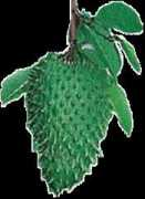 ccbolgroup.com Thurian