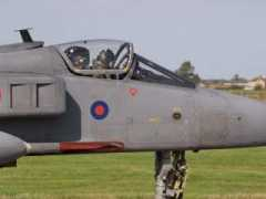 sepecat.info Thurtle