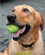 sundayobserver.lk Thusal