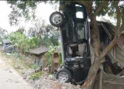 tinmoi.vn Thutam