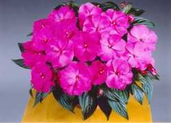 Thyst