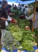urgentevoke.com Tianguis