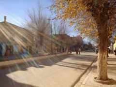 panoramio.com Tiaret