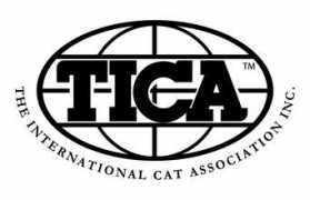 Tica