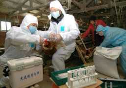 europe.chinadaily.com.cn Tiecheng