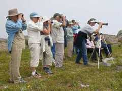 capebirdclub.org.za Tienie