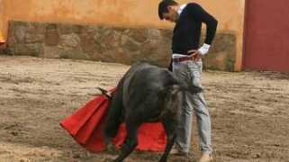 abc.es Tienta