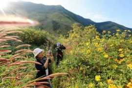 vietnamtourism.gov.vn Tienthanh