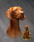 dogster.com Tierah