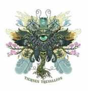 tiernentrevallion.co.uk Tiernen
