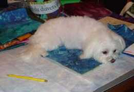 marcusandmeagan.com Tiffie