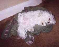 marcusandmeagan.com Tiffie