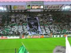 lesverts42.free.fr Tiffo