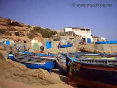 taghazout.info Tigert