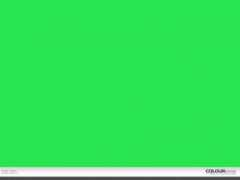 colourlovers.com Tigerz