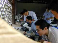 tm.mahidol.ac.th Tiglao