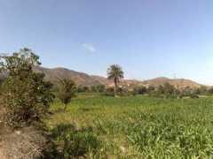 panoramio.com Tihama