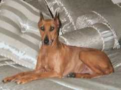 Tili