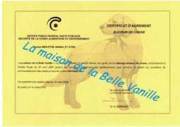 maisondelabellevanille.be Tilise