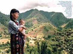 roslynoxley9.com.au Timbang