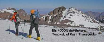 nomesneu.com Timesguida
