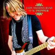 guitarworld.com Timmons