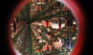 oglobo.globo.com Timofeenko