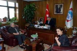 haber3.com Timsal