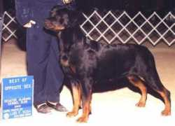 stoneridgekennels.com Tina