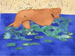 ridgebackrescue.org Tinch