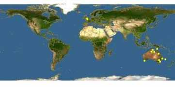 discoverlife.org Tingis