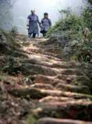 Tinh